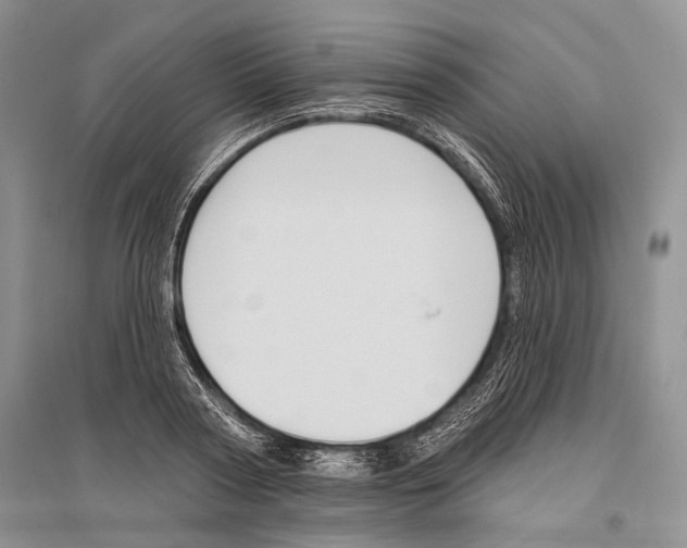 X0000096430794200802211146