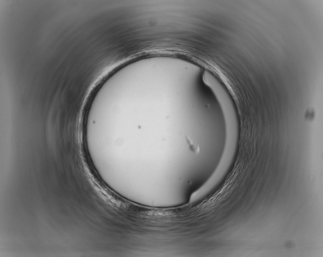 X0000096430795200802211146