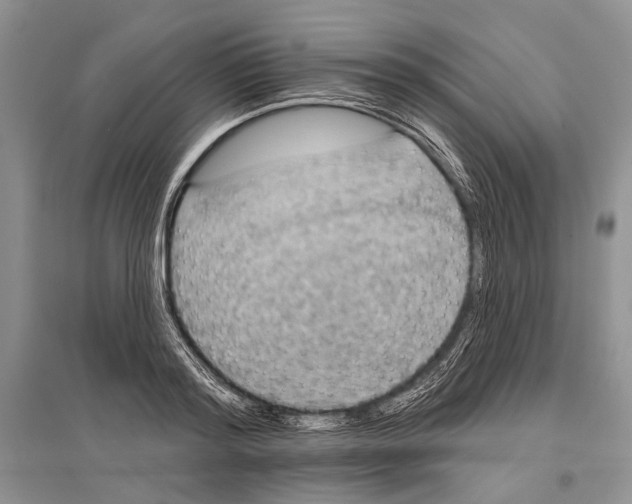 X0000096430796200802211146