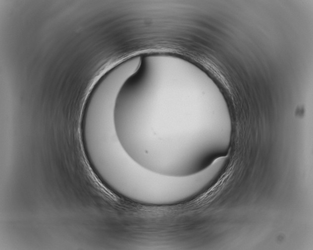 X0000096430797200802211146