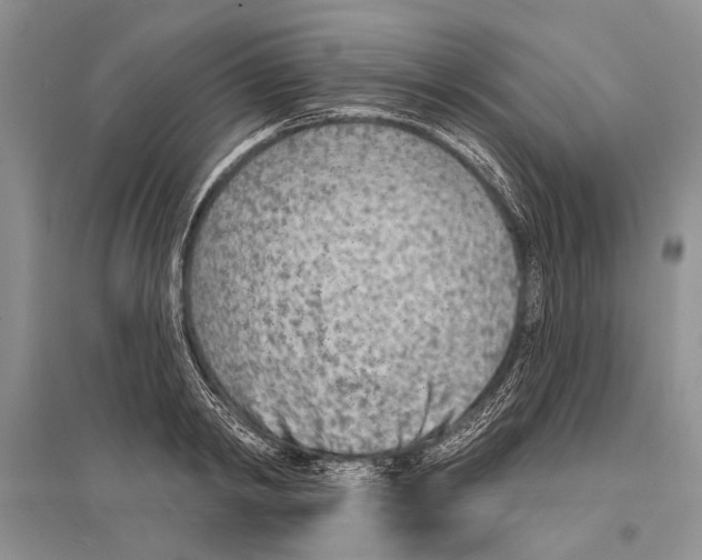 X0000096430798200802211146