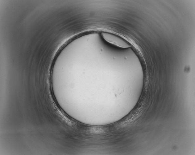 X0000096430799200802211146