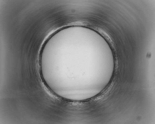 X0000096430800200802211146