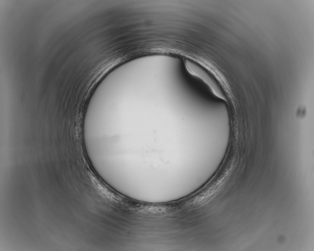 X0000096430801200802211146
