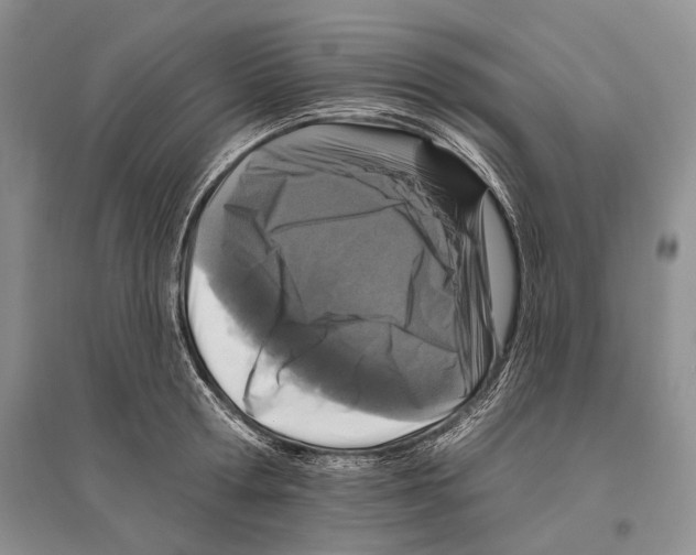 X0000096430802200802211146
