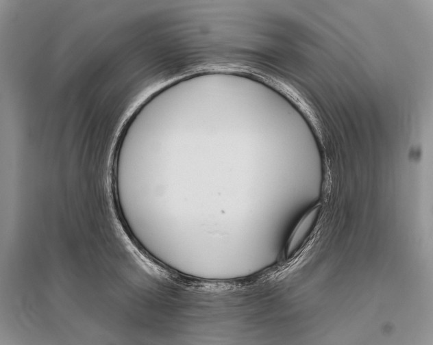 X0000096430803200802211146