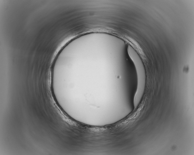 X0000096430804200802211146