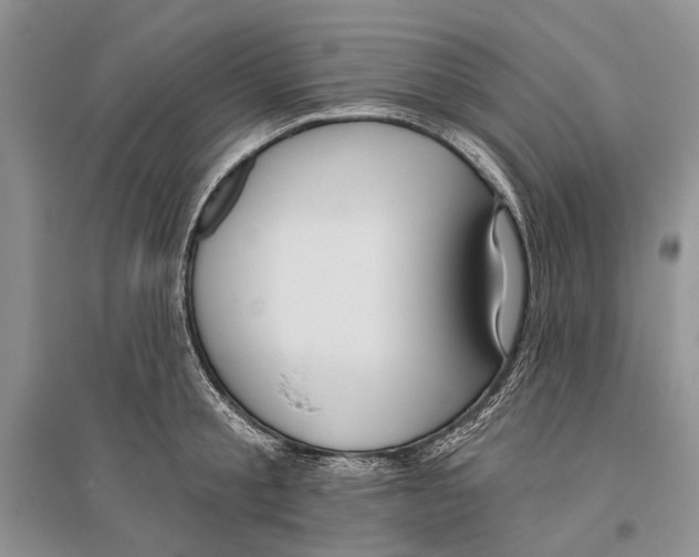 X0000096430805200802211146