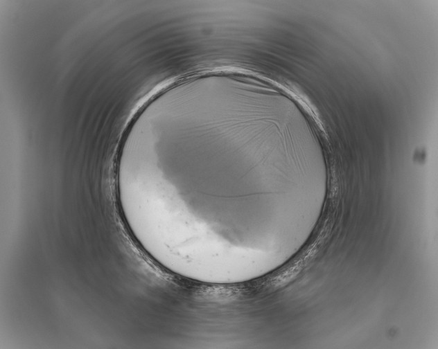 X0000096430806200802211146
