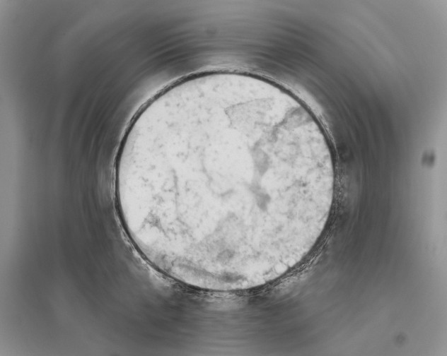 X0000096430807200802211146