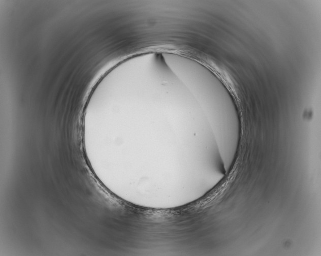 X0000096430808200802211146