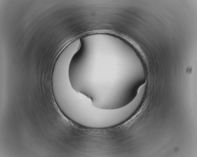 X0000096430809200802211146