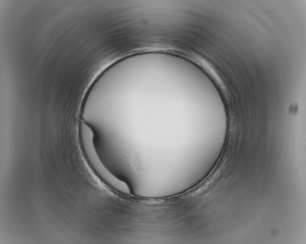 X0000096430810200802211146