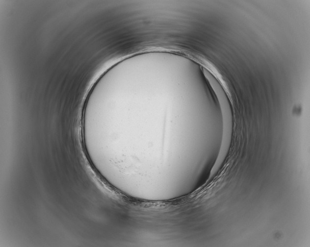 X0000096430811200802211146