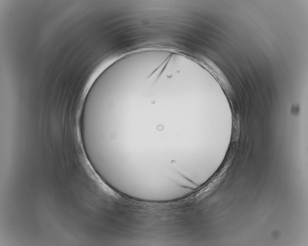 X0000096430812200802211146