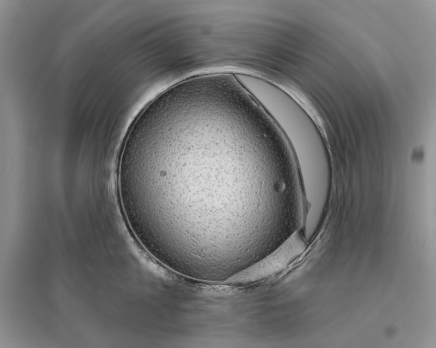 X0000096430813200802211146