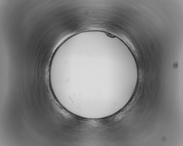 X0000096430814200802211146