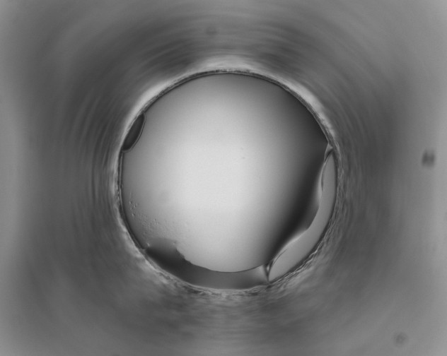 X0000096430815200802211146