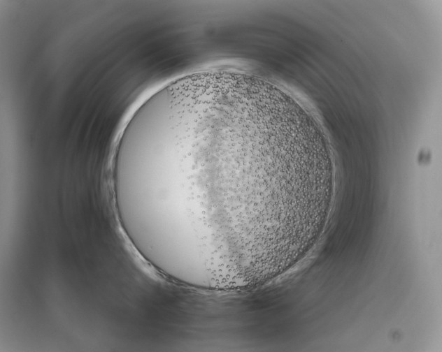 X0000096430816200802211146