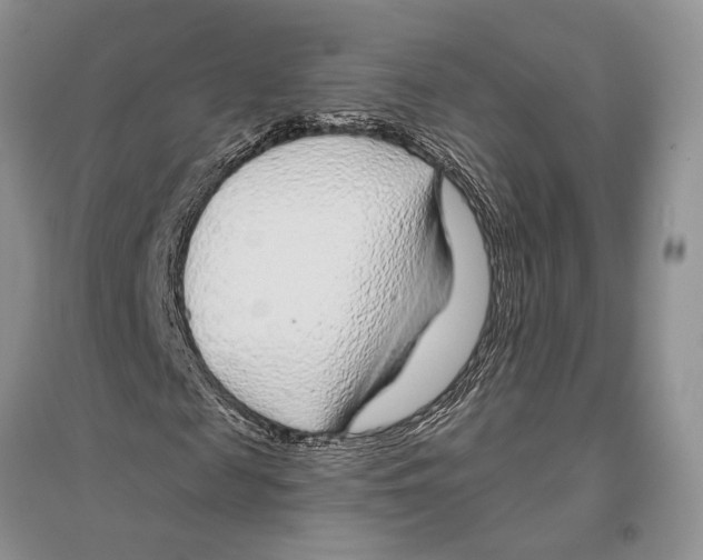 X0000096430817200802211145