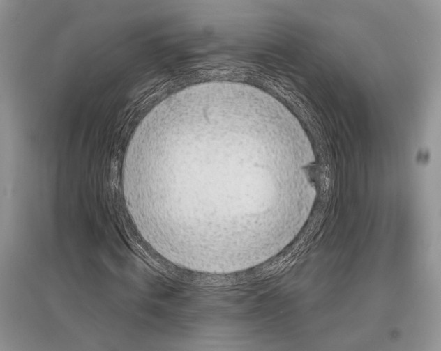 X0000096430820200802211145