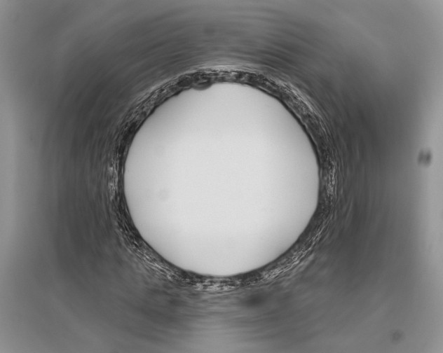X0000096430821200802211145