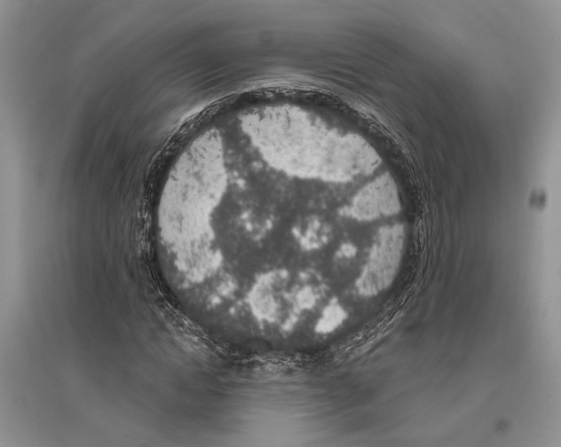 X0000096430822200802211145