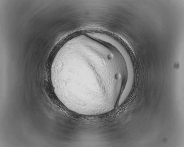 X0000096430823200802211145
