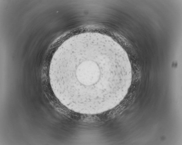 X0000096430824200802211145