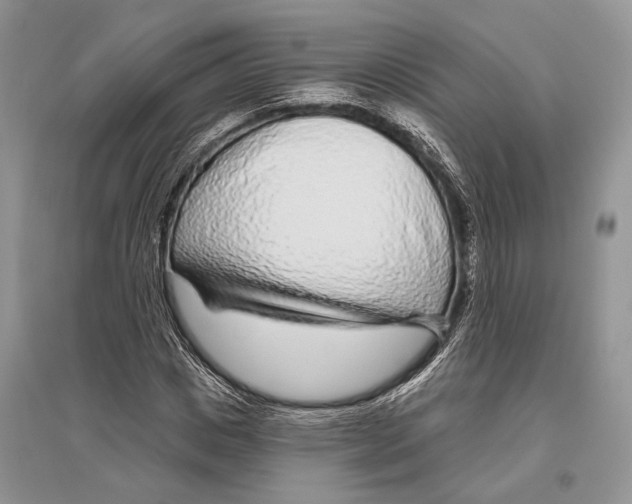X0000096430825200802211145