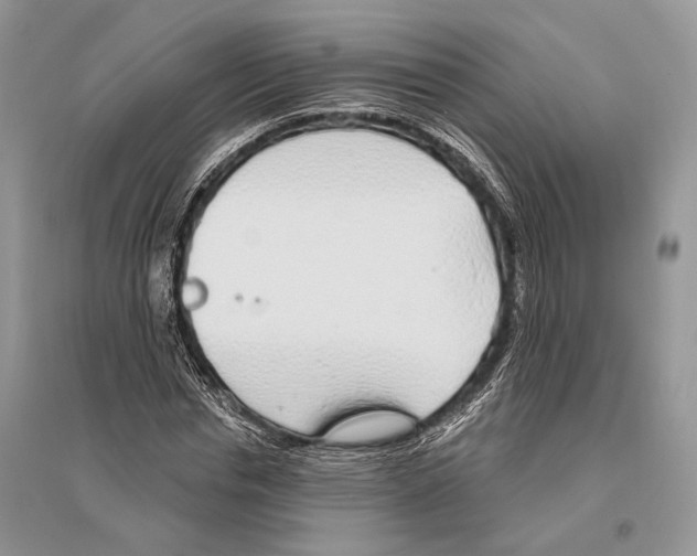 X0000096430826200802211145