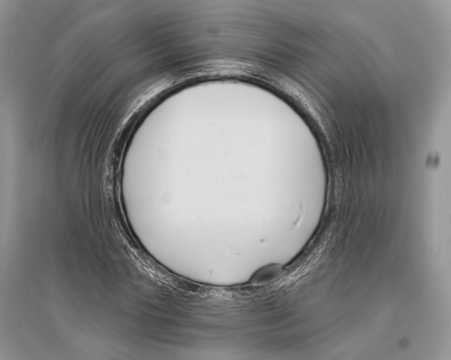 X0000096430827200802211145