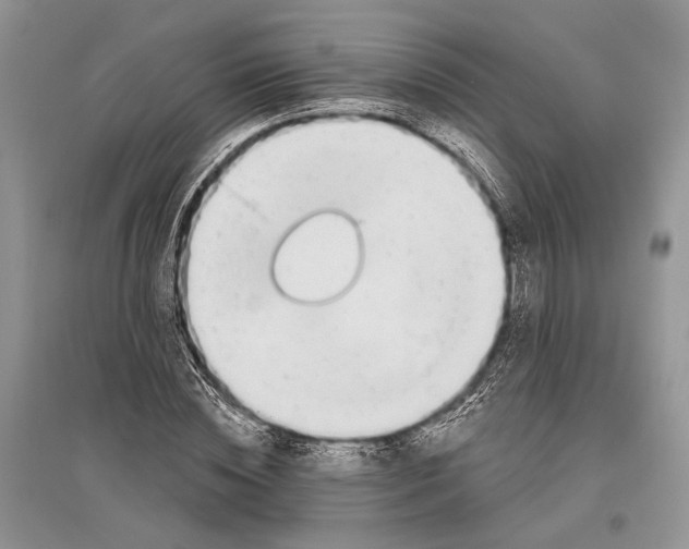 X0000096430828200802211145