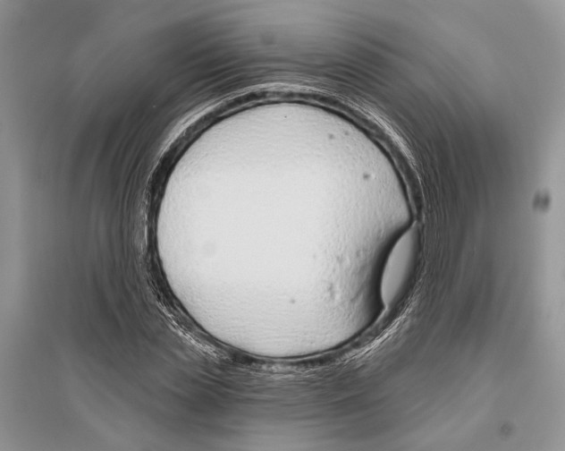 X0000096430829200802211145