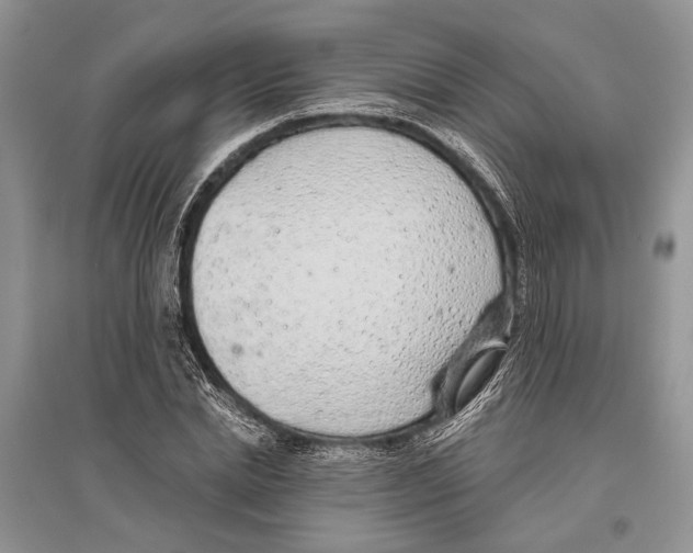 X0000096430830200802211145