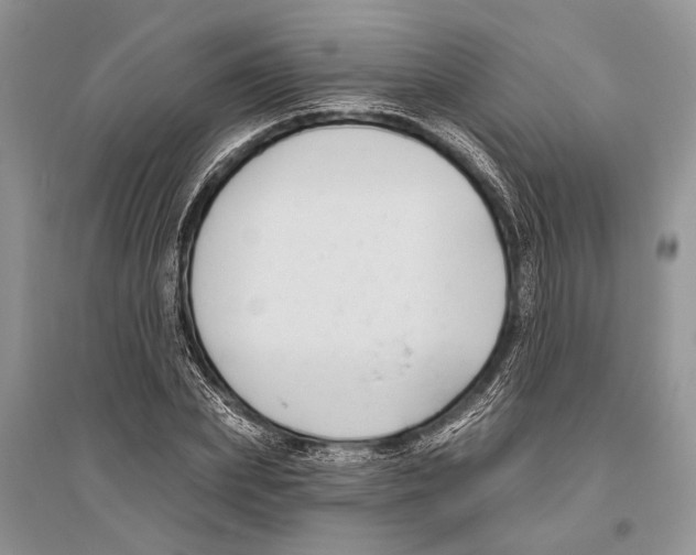 X0000096430831200802211145