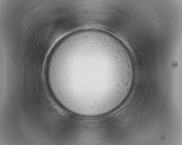 X0000096430832200802211145
