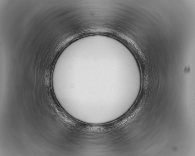 X0000096430833200802211145