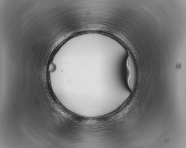 X0000096430834200802211145