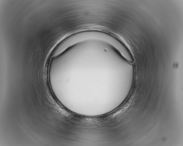 X0000096430835200802211145