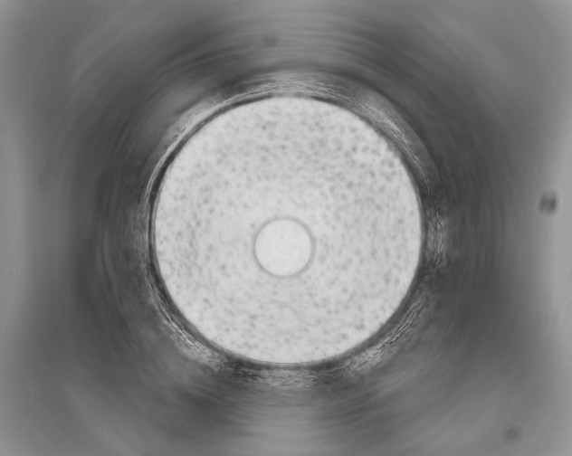 X0000096430836200802211145