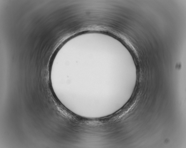 X0000096430837200802211145