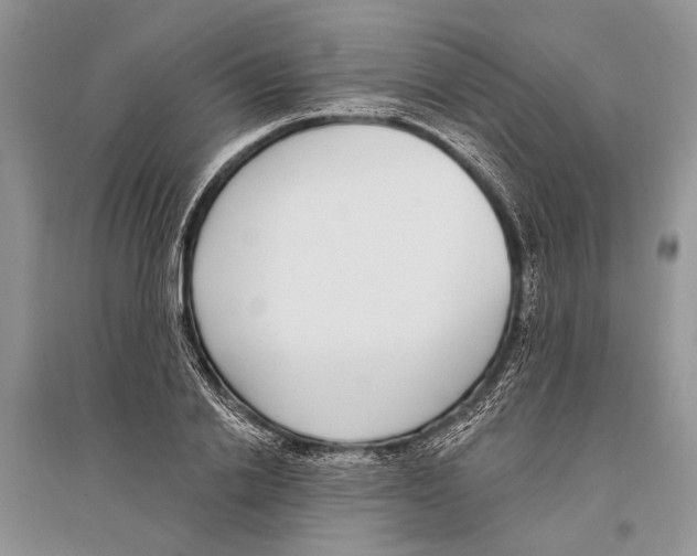 X0000096430838200802211145