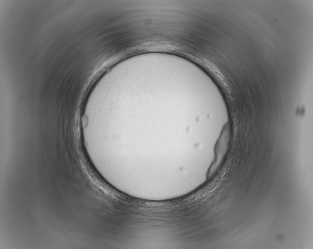 X0000096430840200802211145