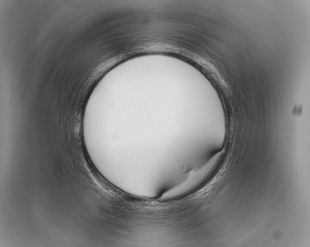 X0000096430841200802211145
