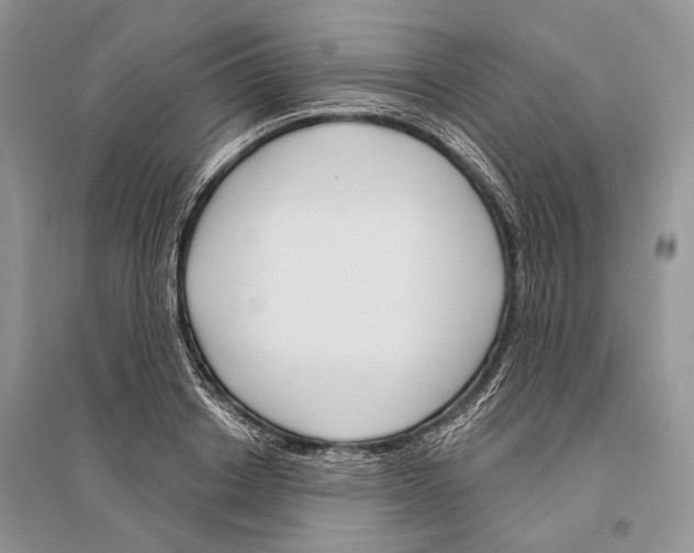 X0000096430842200802211145