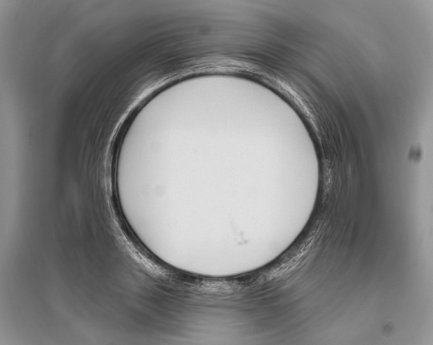 X0000096430843200802211145