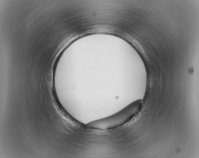 X0000096430844200802211145