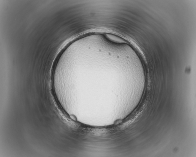 X0000096430845200802211145
