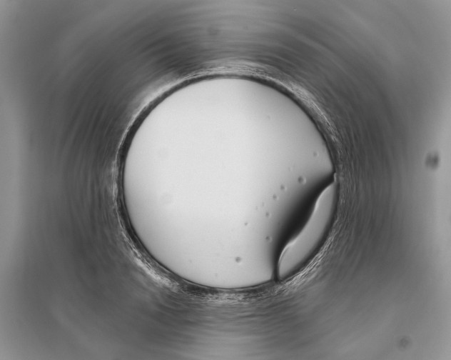 X0000096430846200802211145